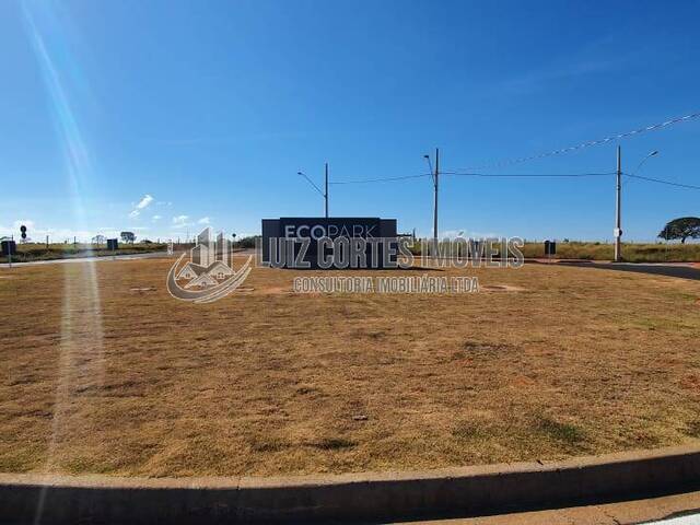 #546 - Lote para Venda em Uberlândia - MG - 3